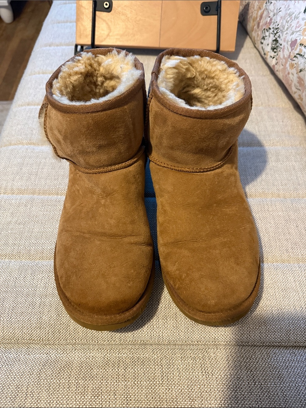 Chestnut UGG Mini